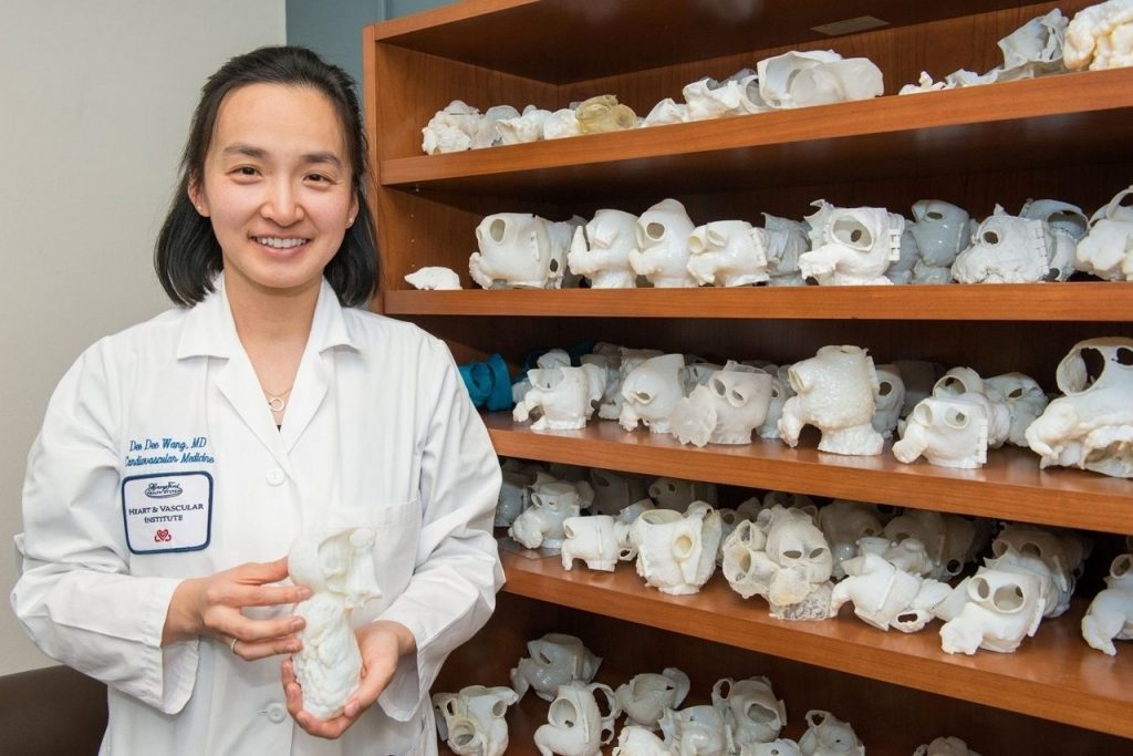 Doctor standing next to a shelf with Medical 3D Printing hearts