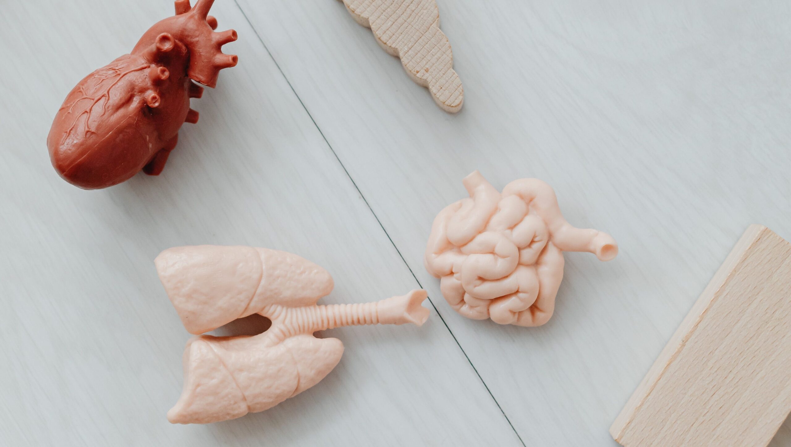 3d printed medical guides 3d printed anatomical guides
